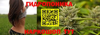 хмурый Конаково