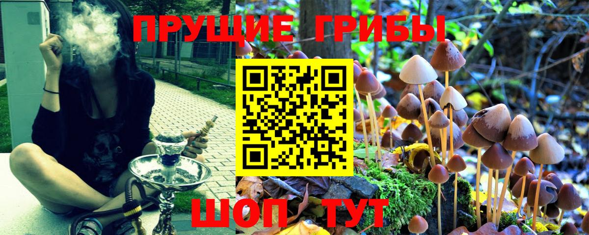 Псилоцибиновые грибы Psilocybe  Вход с VPN  Котельники 