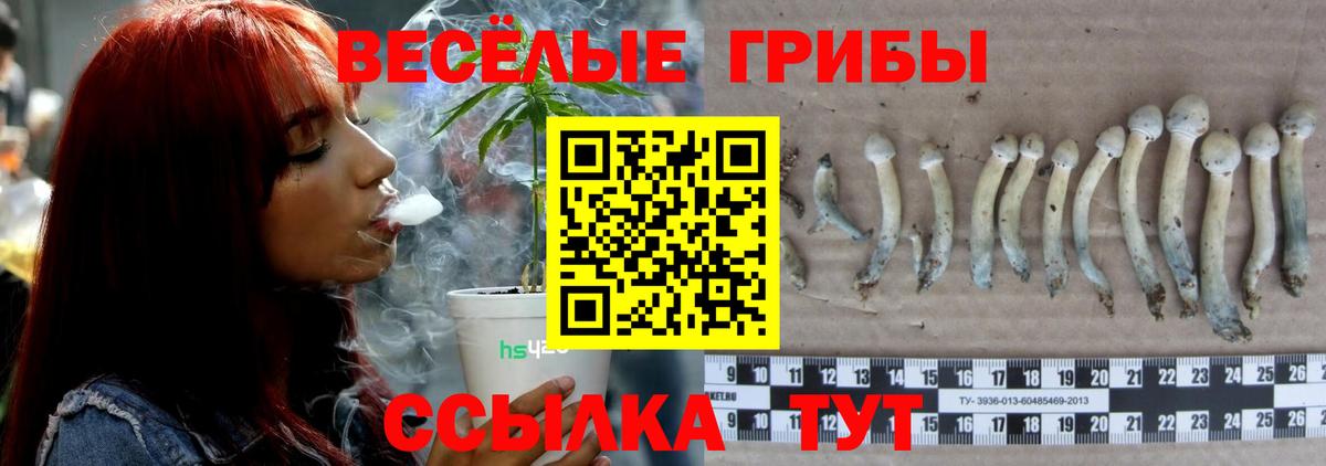 Псилоцибиновые грибы прущие грибы Котельники